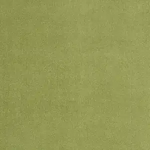 Photo of Green Non Skid Indoor Outdoor Area Rug