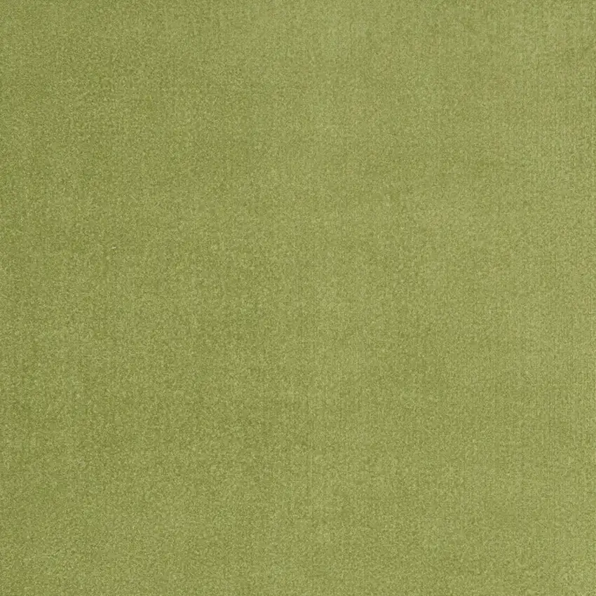Green Non Skid Indoor Outdoor Area Rug Photo 3