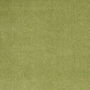 Photo of Green Non Skid Indoor Outdoor Area Rug