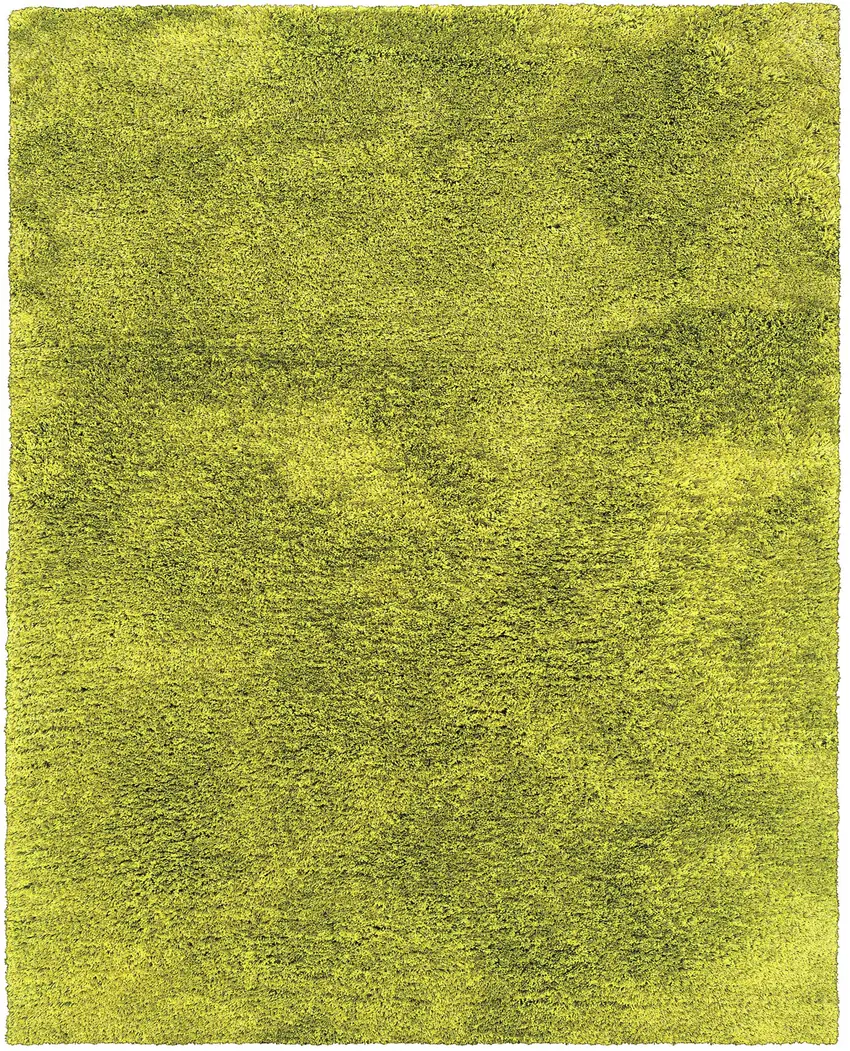 Green Shag Hand Tufted Area Rug Photo 2