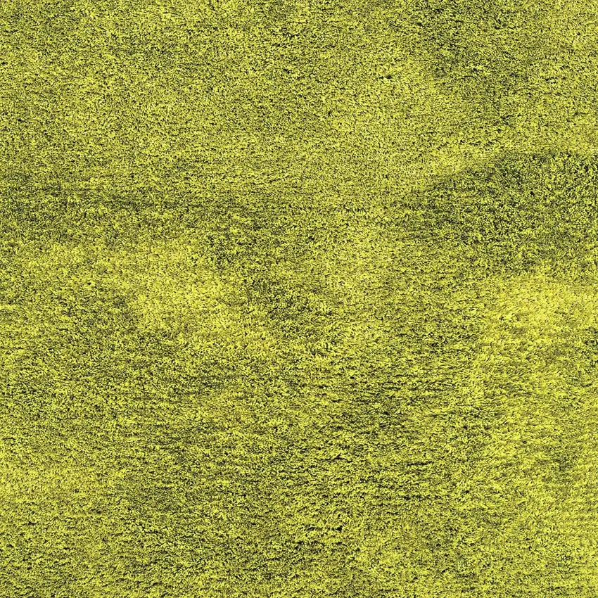 Green Shag Hand Tufted Area Rug Photo 3