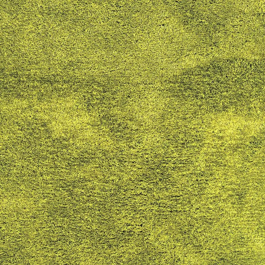Green Shag Hand Tufted Area Rug Photo 5