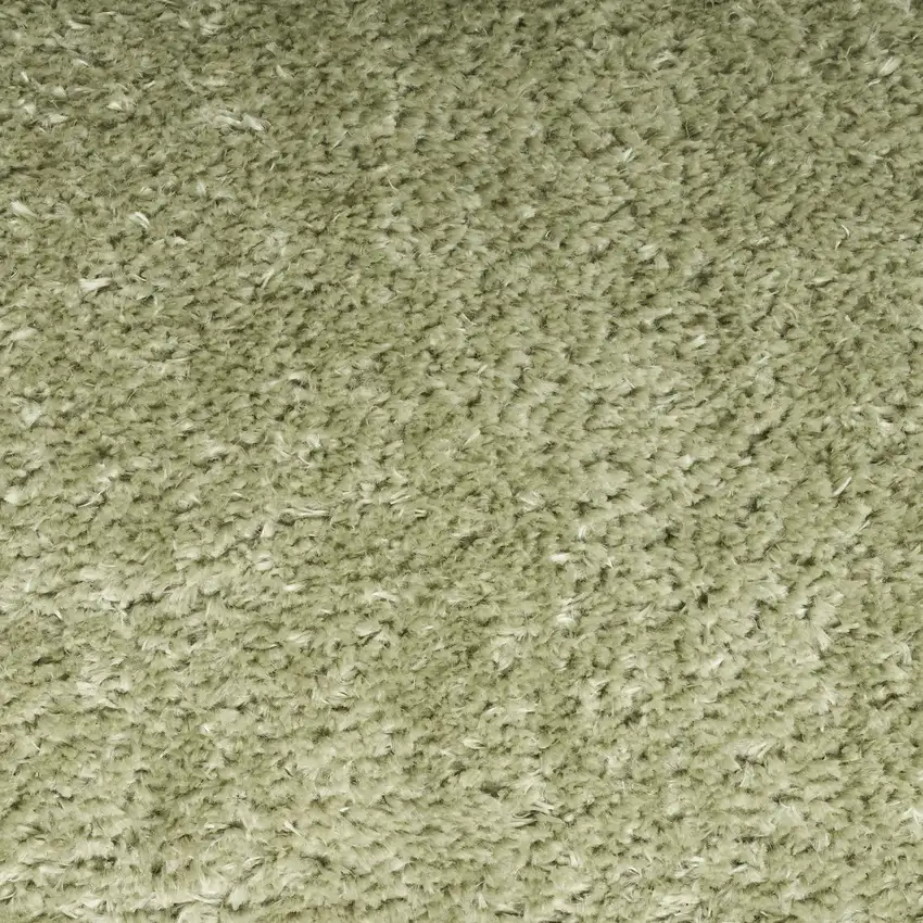 Green Shag Area Rug Photo 8