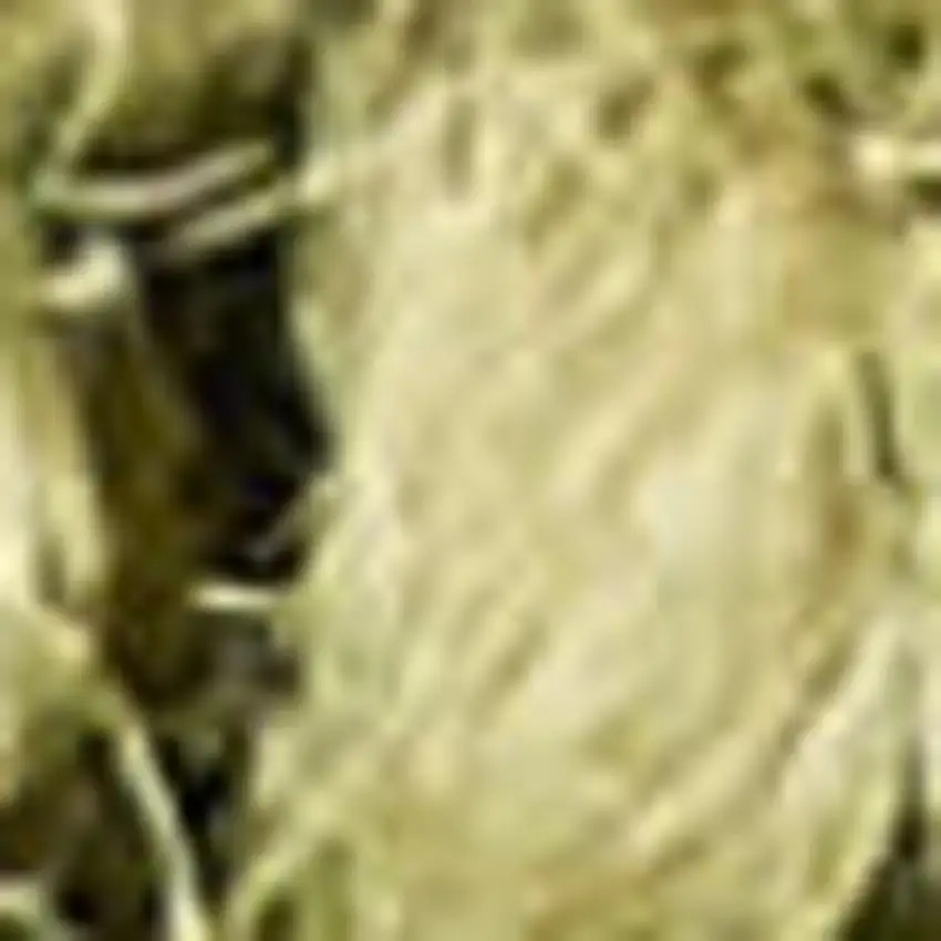 Green Wool Shag Handmade Area Rug Photo 2