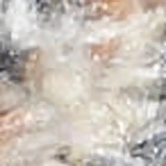 Green and Ivory Floral Medallion Power Loom Distressed Washable Area Rug Photo 2