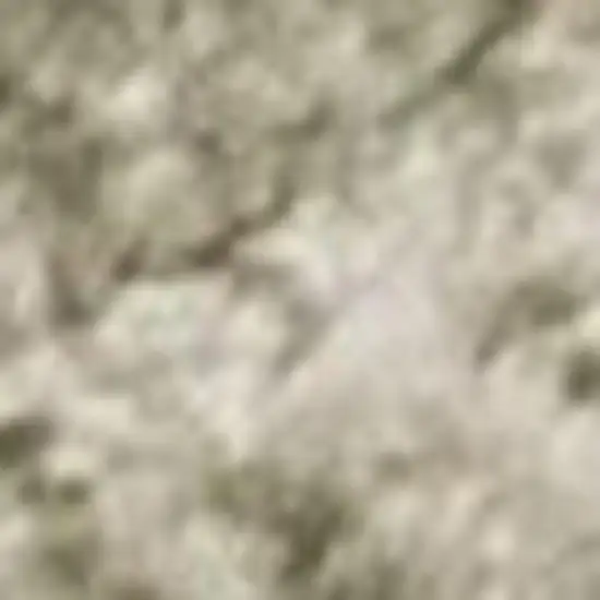Green and Ivory Geometric Power Loom Distressed Non Skid Area Rug Photo 4