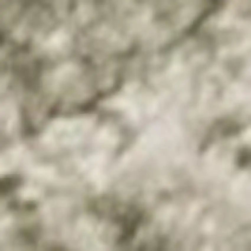 Green and Ivory Geometric Power Loom Distressed Non Skid Area Rug Photo 4
