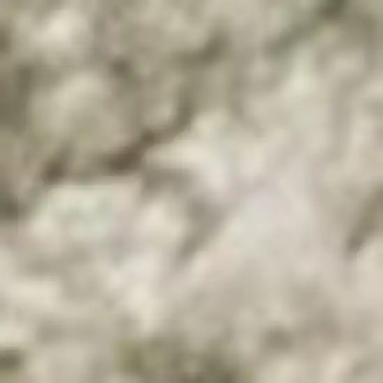 Green and Ivory Geometric Power Loom Distressed Non Skid Area Rug Photo 3