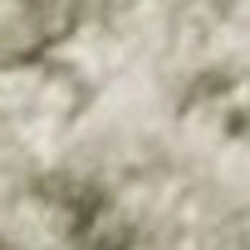 Green and Ivory Geometric Power Loom Distressed Non Skid Area Rug Photo 2