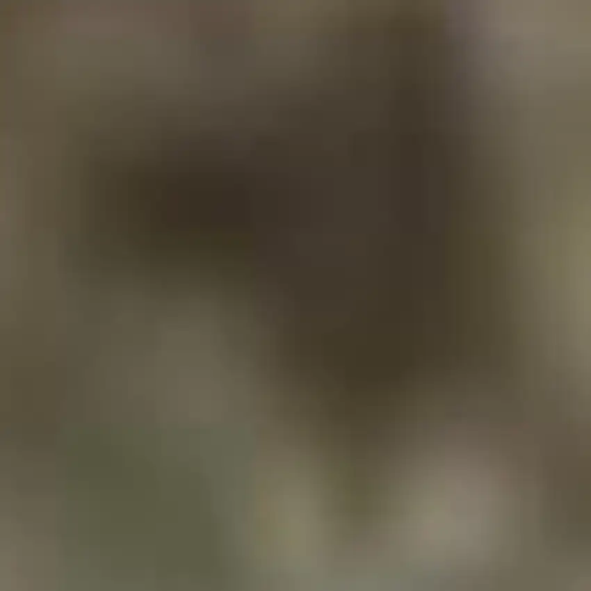 Green and Ivory Medallion Power Loom Distressed Area Rug Photo 3