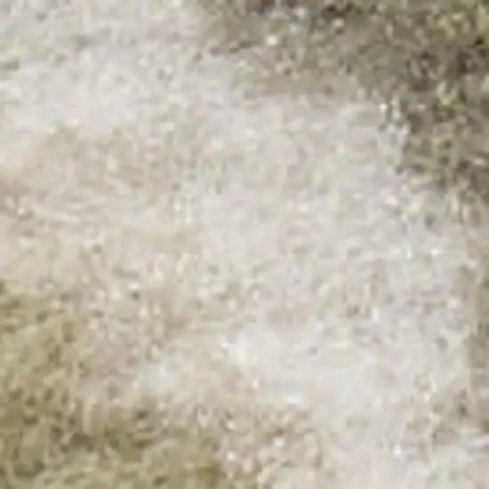 Green and Ivory Medallion Power Loom Distressed Area Rug Photo 6