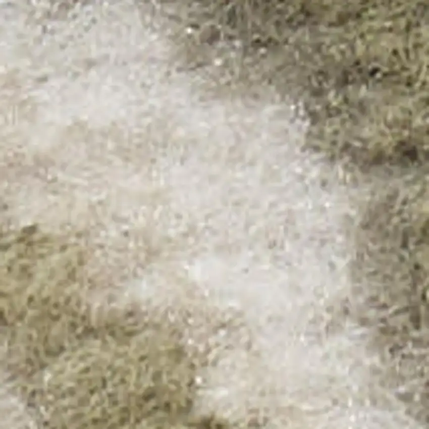 Green and Ivory Medallion Power Loom Distressed Area Rug Photo 1