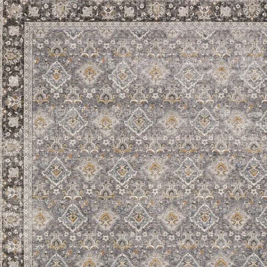 Gray And Blue Oriental Distressed Area Rug With Fringe Photo 5