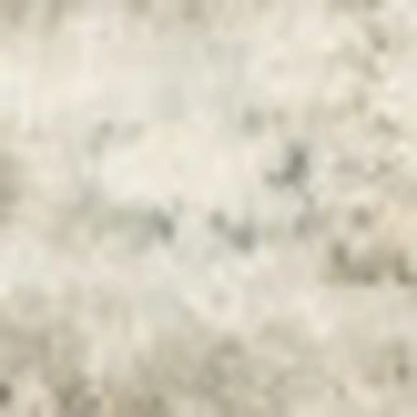 Grey Gold Orange And Ivory Oriental Power Loom Stain Resistant Area Rug Photo 8