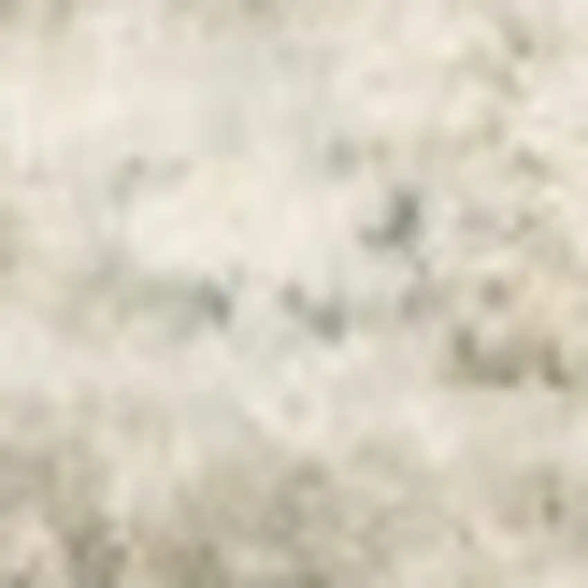 Grey Gold Orange And Ivory Oriental Power Loom Stain Resistant Area Rug Photo 6