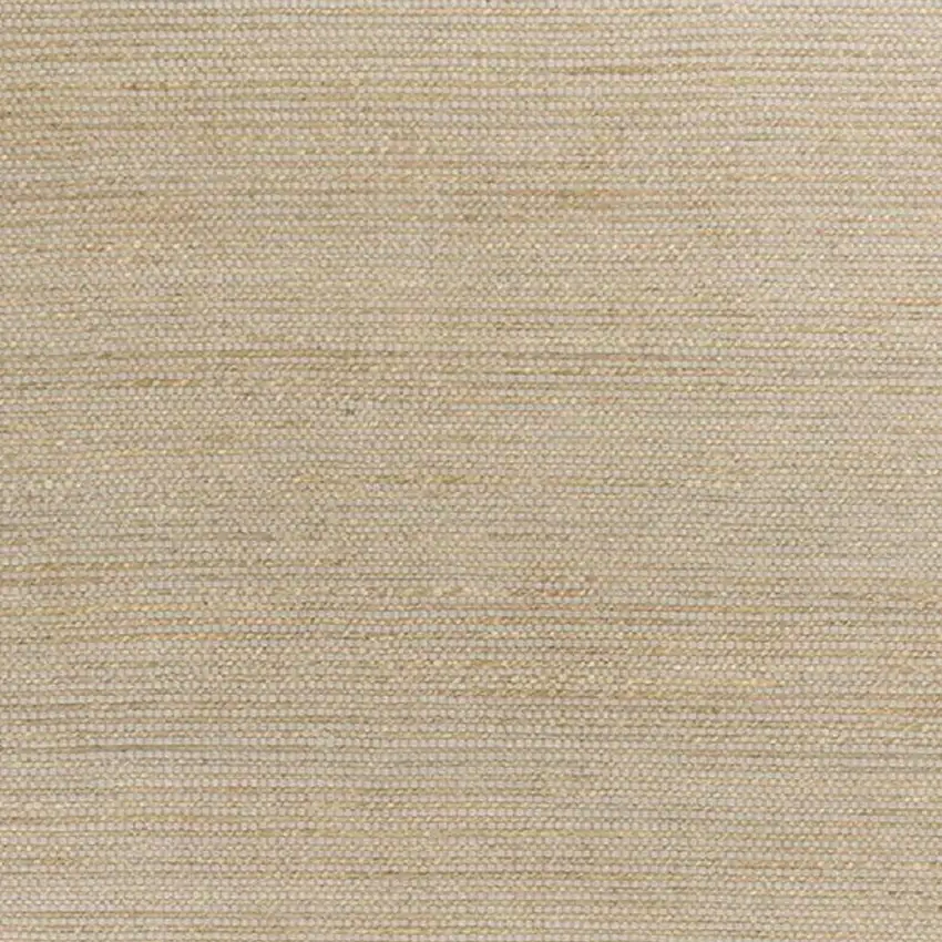 Tan And Ivory Hand Woven Area Rug Photo 1