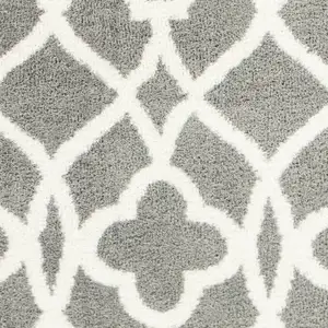 Photo of Grey Ivory Machine Woven Ogee Indoor Shag Area Rug