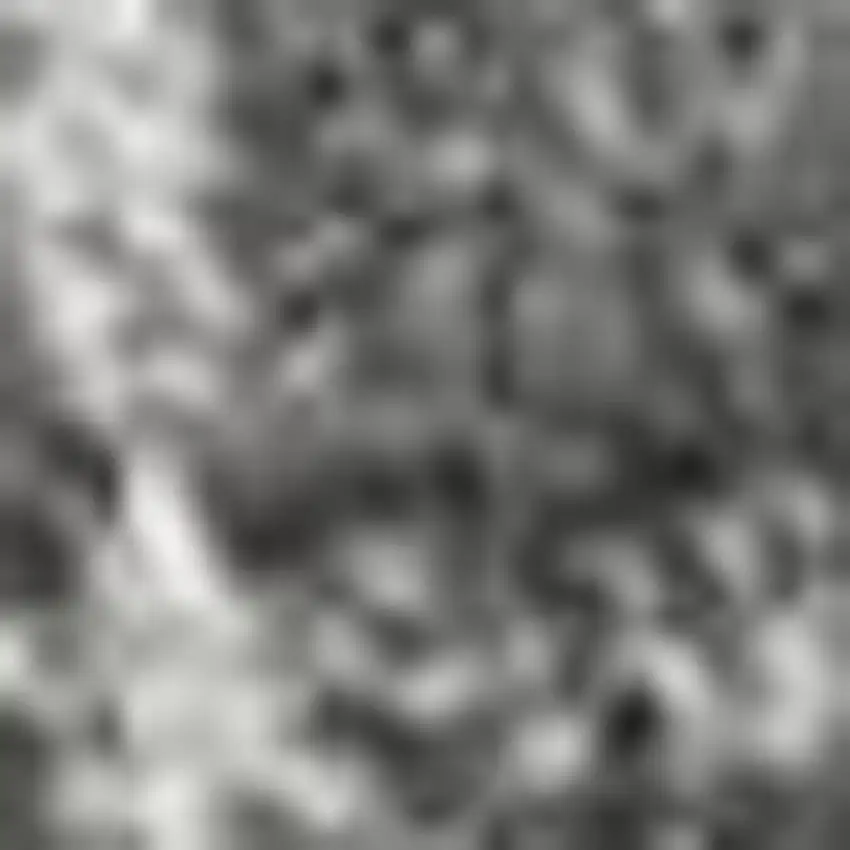 Gray And Dark Gray Abstract Distressed Area Rug Photo 3