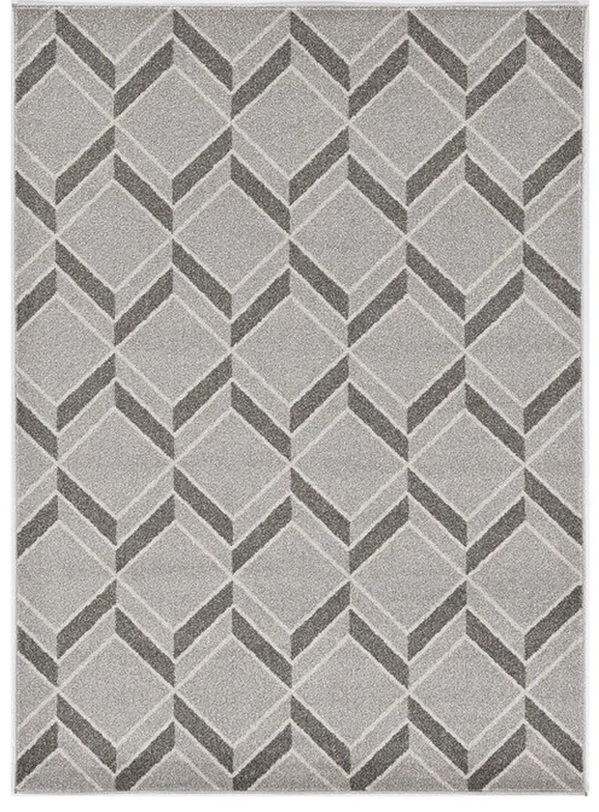 2'X4' Grey Machine Woven Uv Treated Herringbone Illusion Indoor Outdoor Accent Rug Photo 2