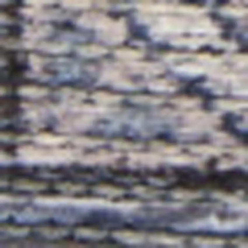 Grey Medallion Distressed Washable Area Rug Photo 1