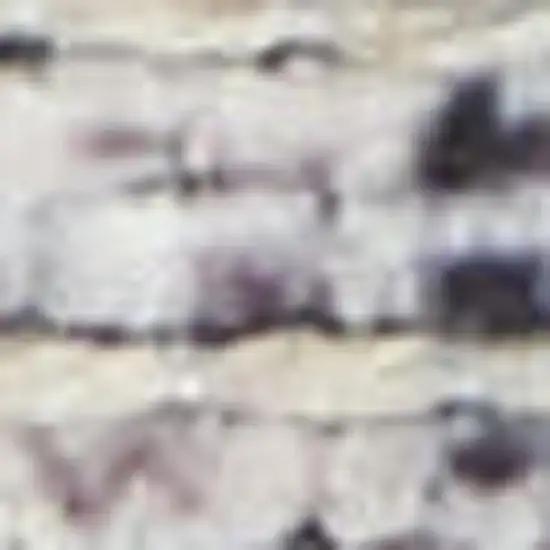 Grey Oriental Power Loom Distressed Washable Area Rug Photo 1