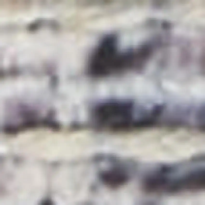 Grey Oriental Power Loom Distressed Washable Area Rug Photo 1