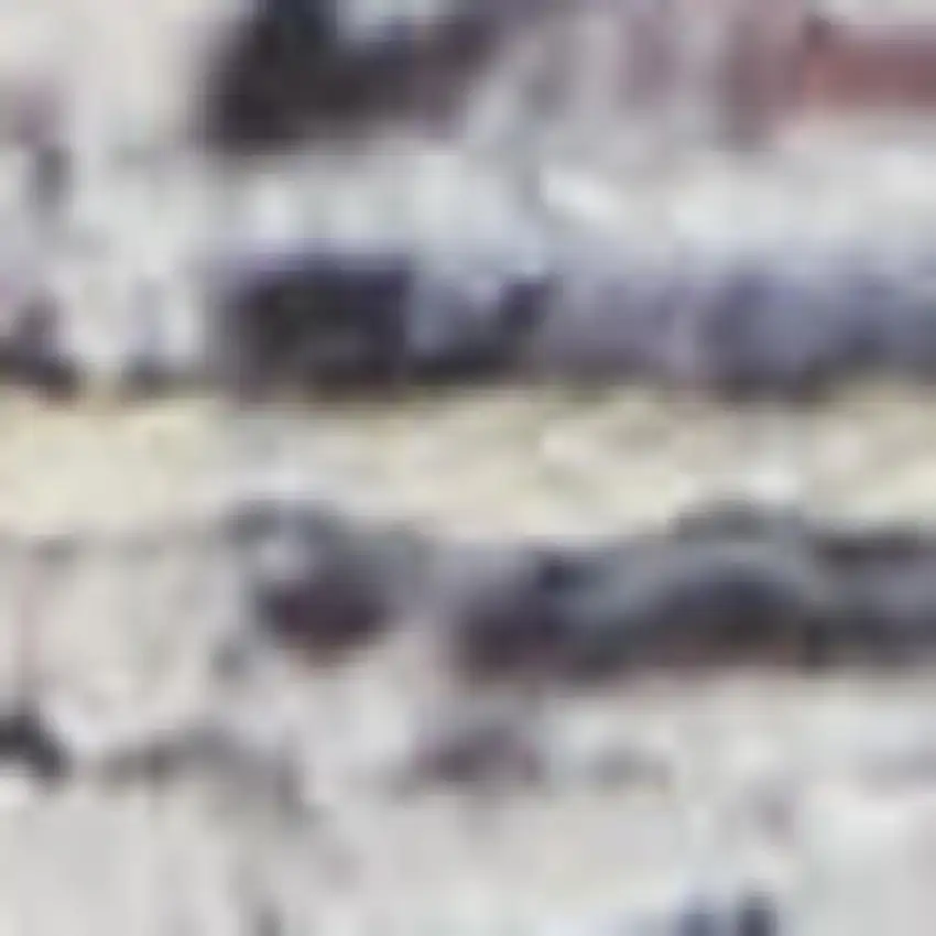 Grey Oriental Power Loom Distressed Washable Area Rug Photo 1