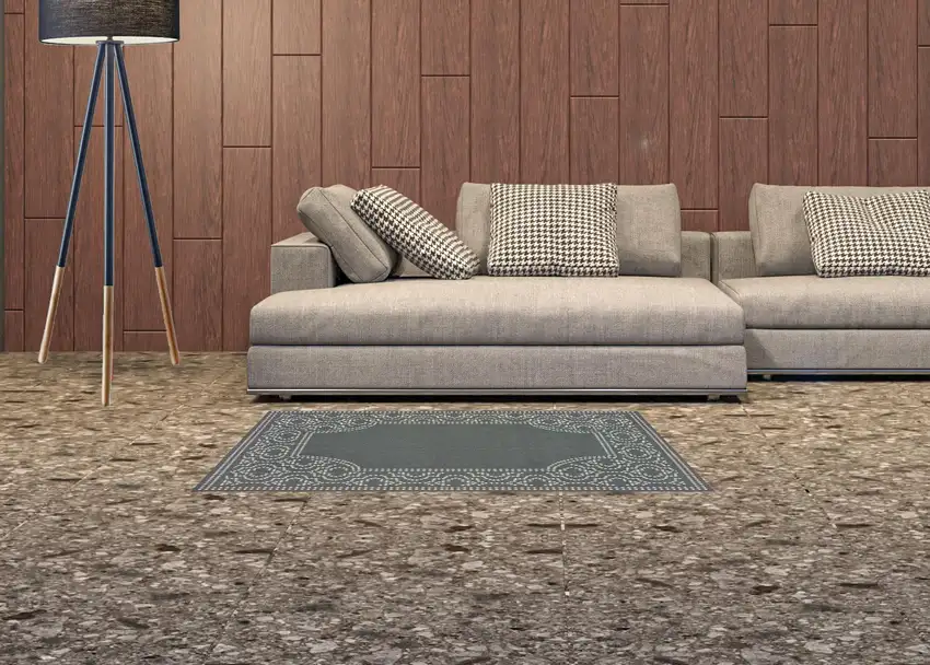 Grey Stain Resistant Indoor Outdoor Area Rug Photo 2