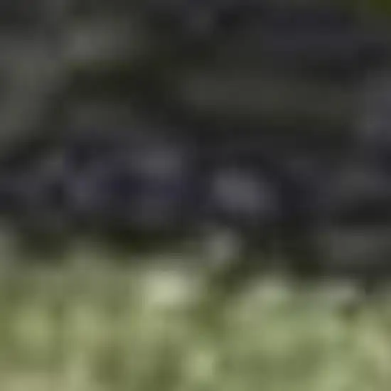 Gray Teal And Green Botanical Leaves Area Rug Photo 6