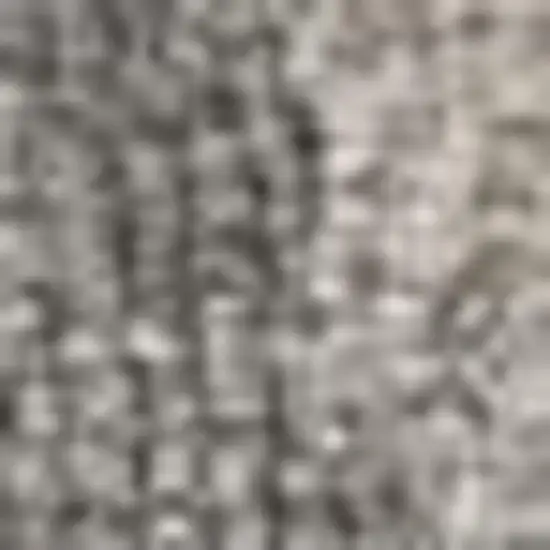 Gray And Light Gray Wool Floral Medallion Hand Tufted Area Rug Photo 5