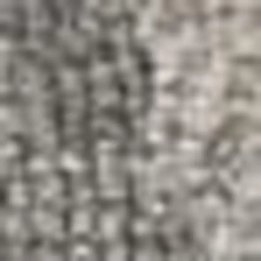 Gray And Light Gray Wool Floral Medallion Hand Tufted Area Rug Photo 5