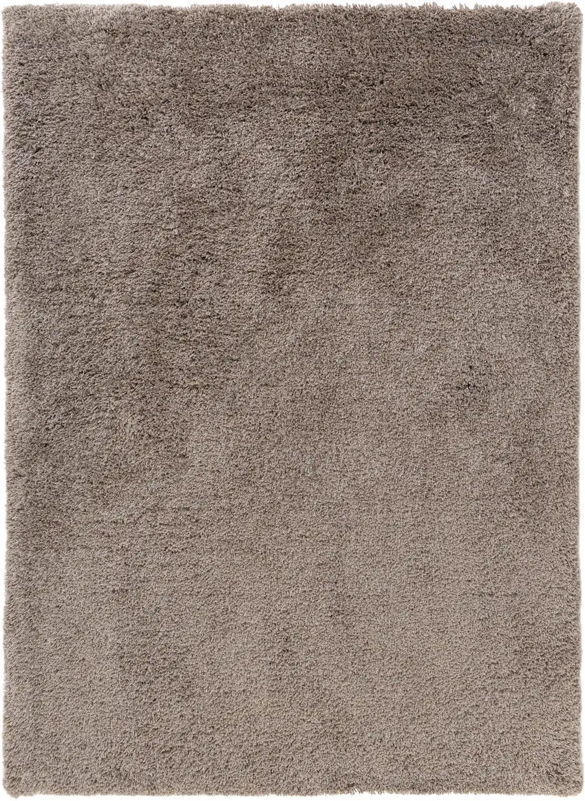 Hand Braided Area Rug Photo 2