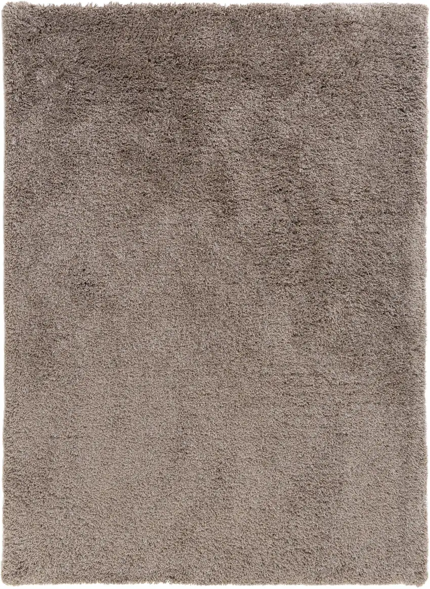 Hand Braided Area Rug Photo 5