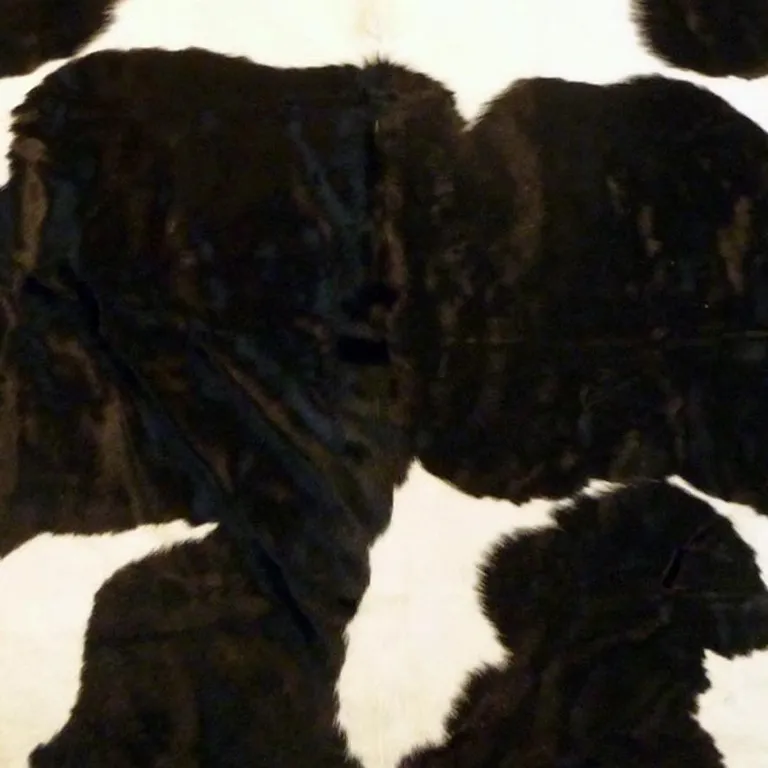 Holstein Brindled Cowhide Rug Photo 4