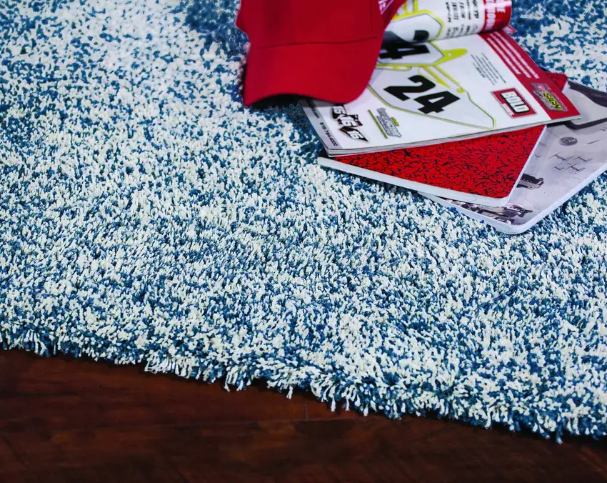 Indigo Ivory Heather Indoor Shag Rug Photo 5