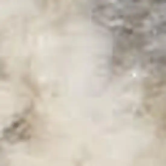 Ivory Abstract Area Rug Photo 2