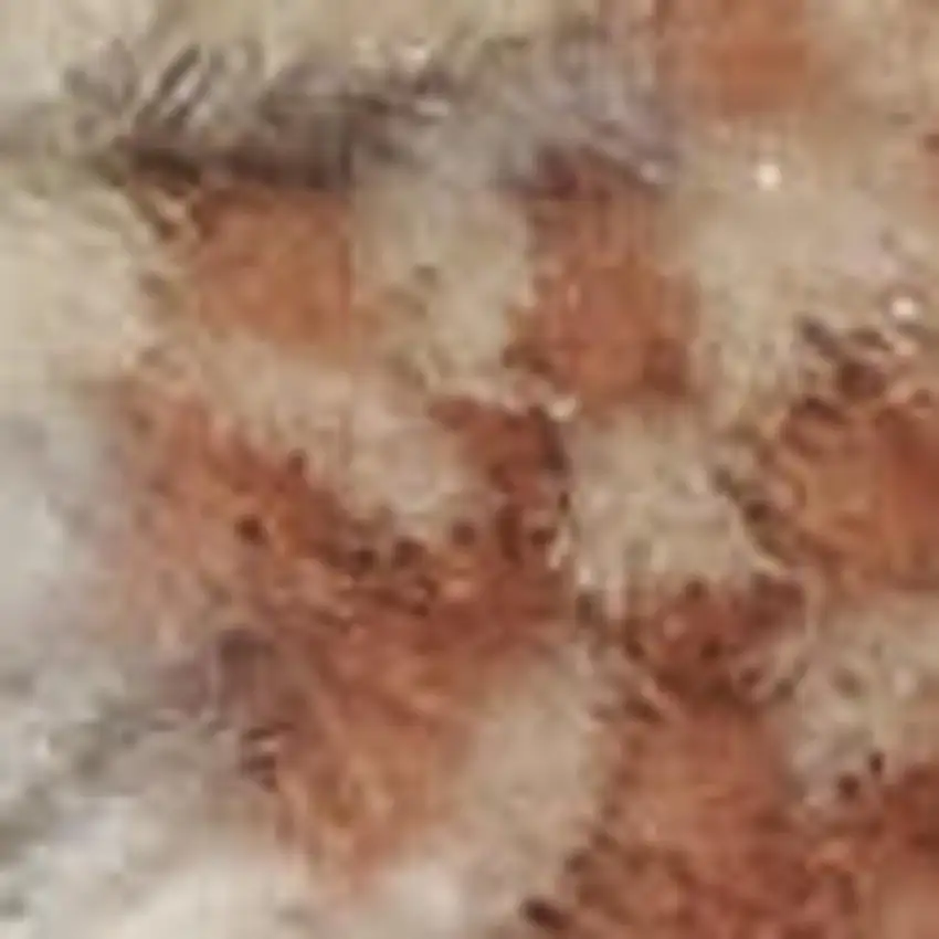 Ivory Abstract Area Rug Photo 2