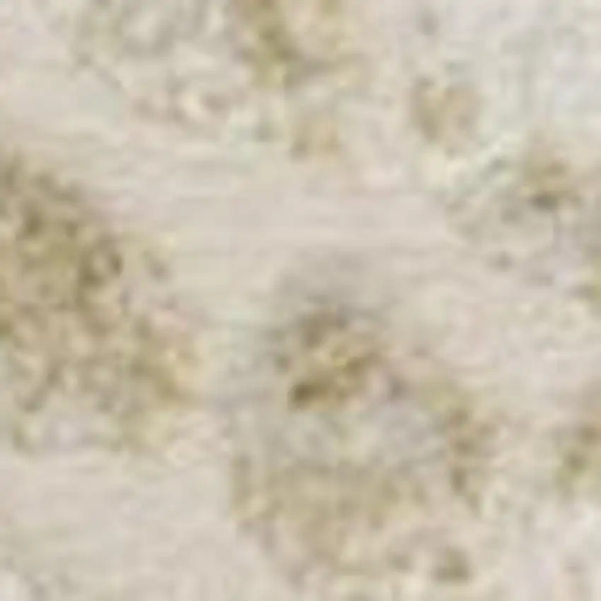 Ivory Abstract Area Rug Photo 3