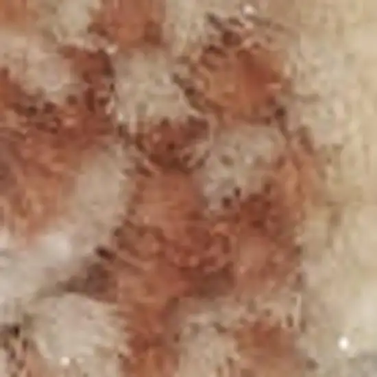 Ivory Abstract Power Loom Area Rug Photo 2