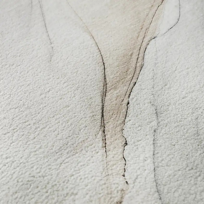 Ivory And Beige Abstract Washable Area Rug With UV Protection Photo 3