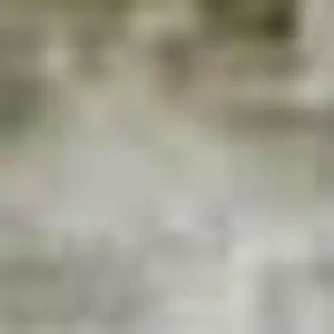 Photo of Ivory And Beige Abstract Washable Area Rug With UV Protection