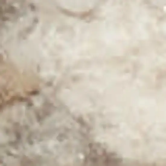 Ivory And Beige Animal Print Distressed Area Rug Photo 2