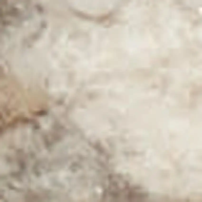 Ivory And Beige Animal Print Distressed Area Rug Photo 3