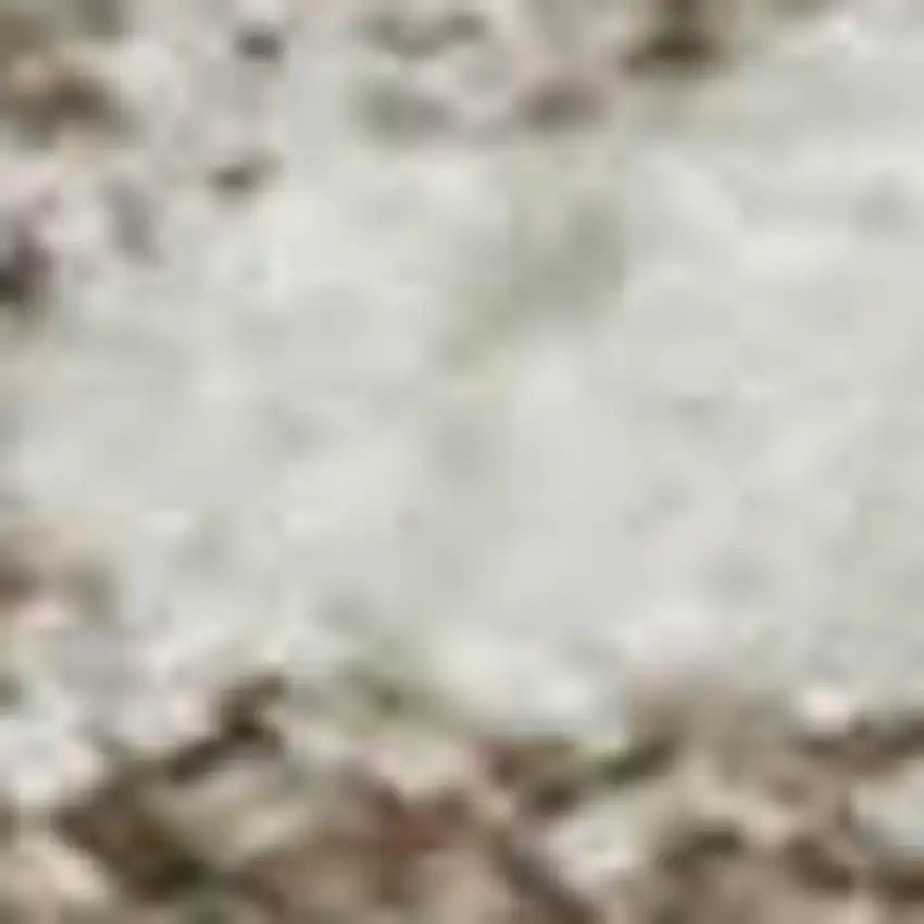 Ivory And Beige Medallion Washable Area Rug With UV Protection Photo 3