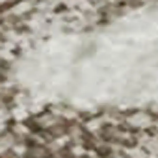 Ivory And Beige Medallion Washable Area Rug With UV Protection Photo 3