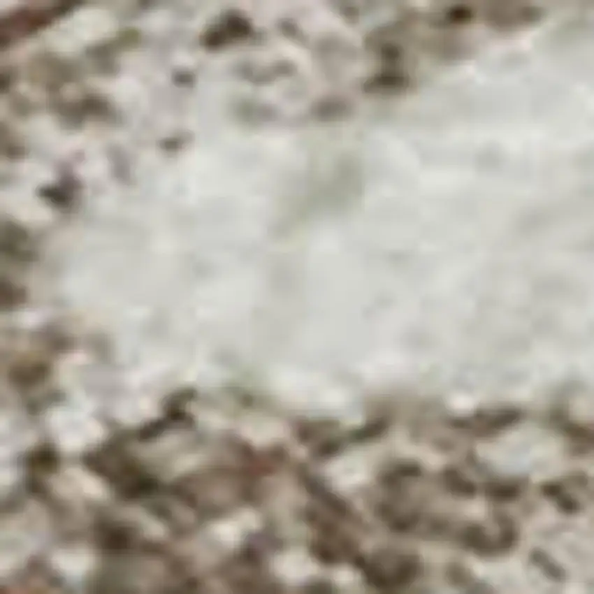 Ivory And Beige Medallion Washable Area Rug With UV Protection Photo 3