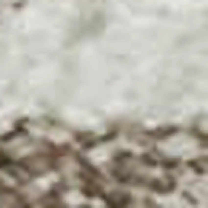 Ivory And Beige Medallion Washable Area Rug With UV Protection Photo 3