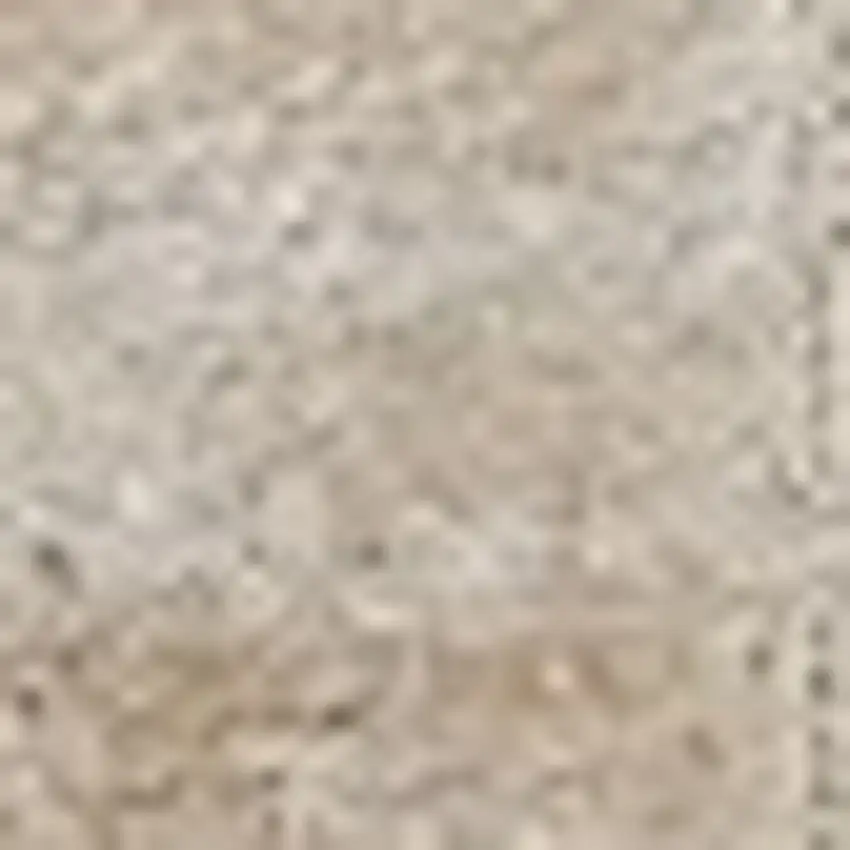 Ivory And Beige Non Skid Indoor Outdoor Area Rug Photo 6
