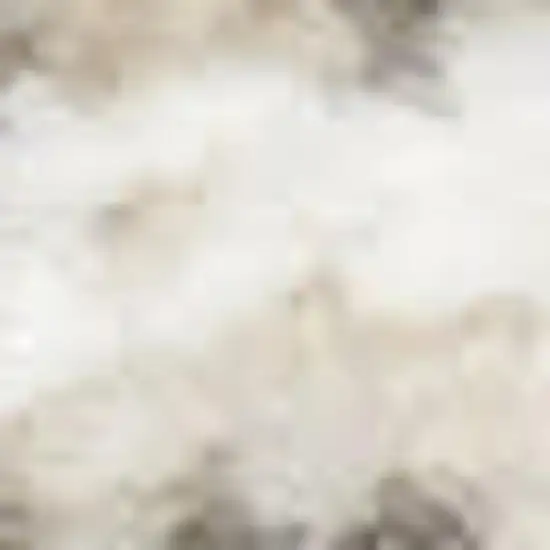 Ivory And Black Geometric Area Rug Photo 2