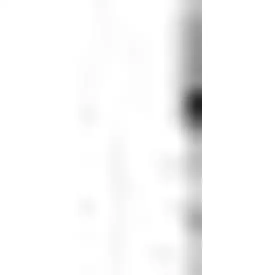 Ivory And Black Geometric Washable Indoor Outdoor Area Rug Photo 5